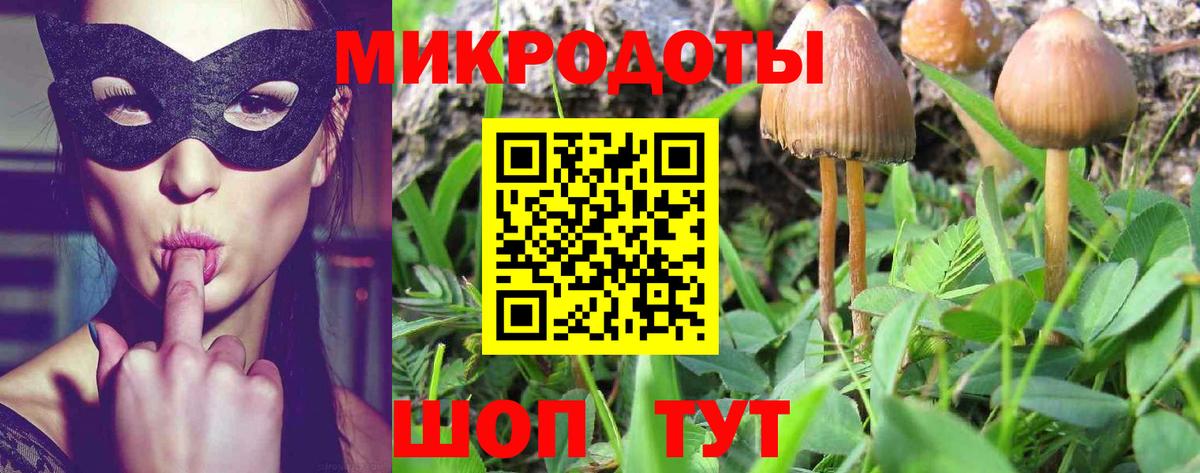 Галлюциногенные грибы мицелий Семёнов